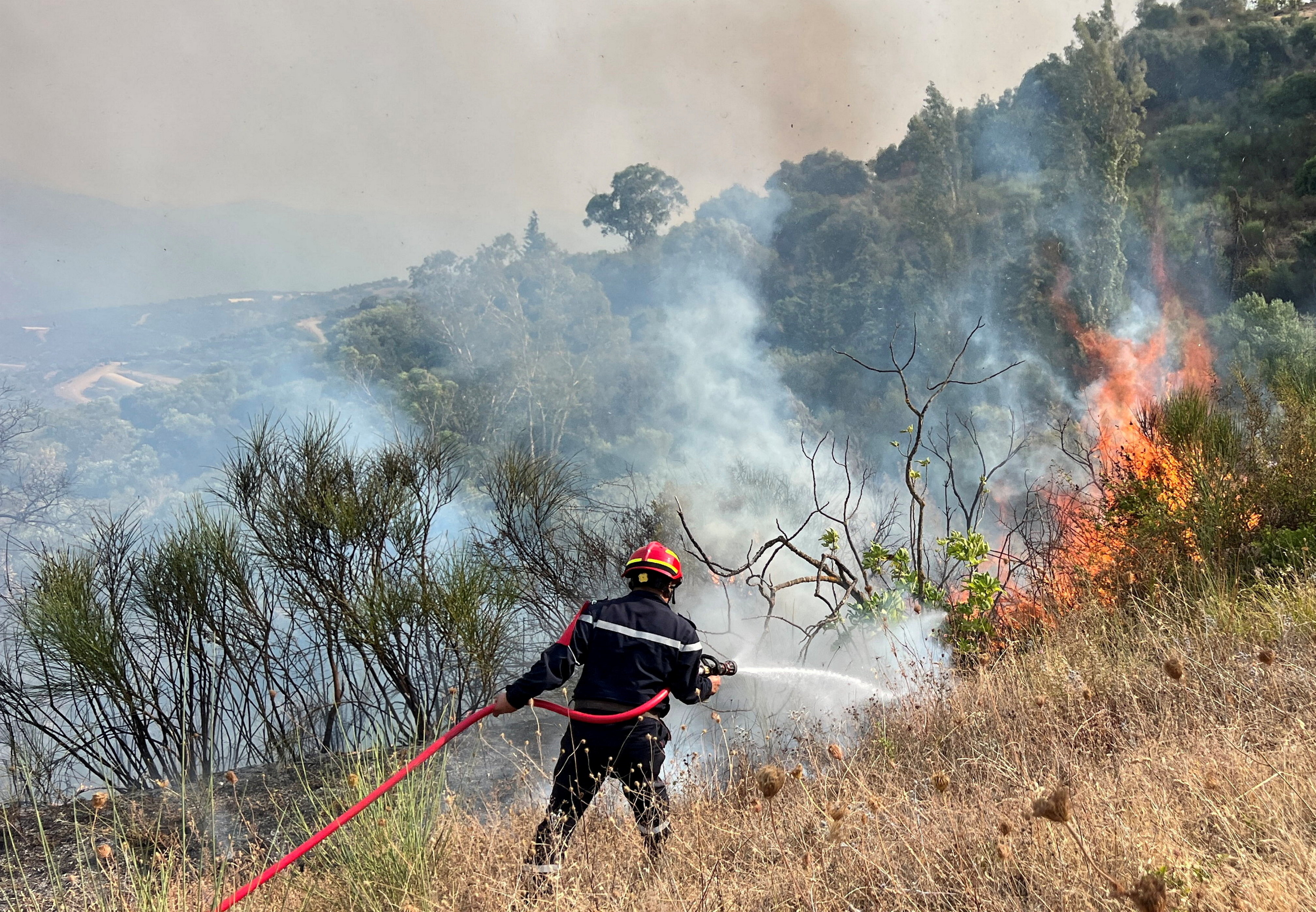 A firefighter works to extinguish a fire, as a wildfire due to rising temperature sweeps through several villages in the mountainous Bejaia province, in Taourirt Ighil, Algeria, August 19, 2025.