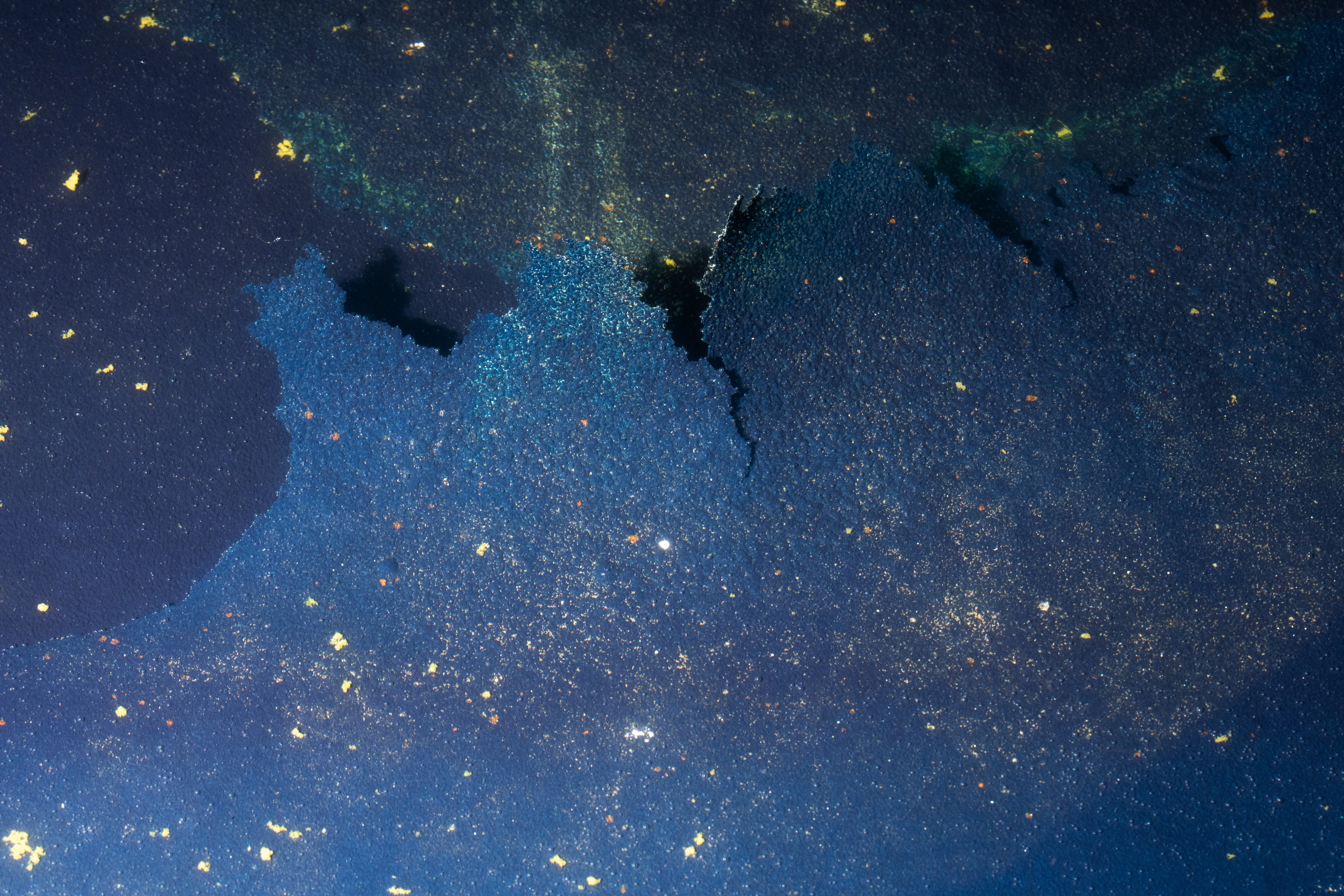 Chipped paint and algae are visible in the Lincoln Memorial Reflecting Pool, after recent renovations following a directive from US President Donald Trump to paint it blue ahead of the 250th anniversary of US independence, in Washington, DC, the US, on June 21, 2026