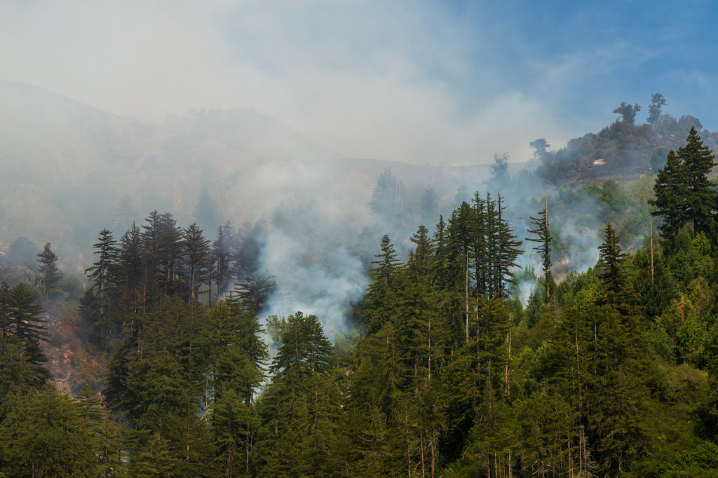 smoke rises from a forest in Big Sur