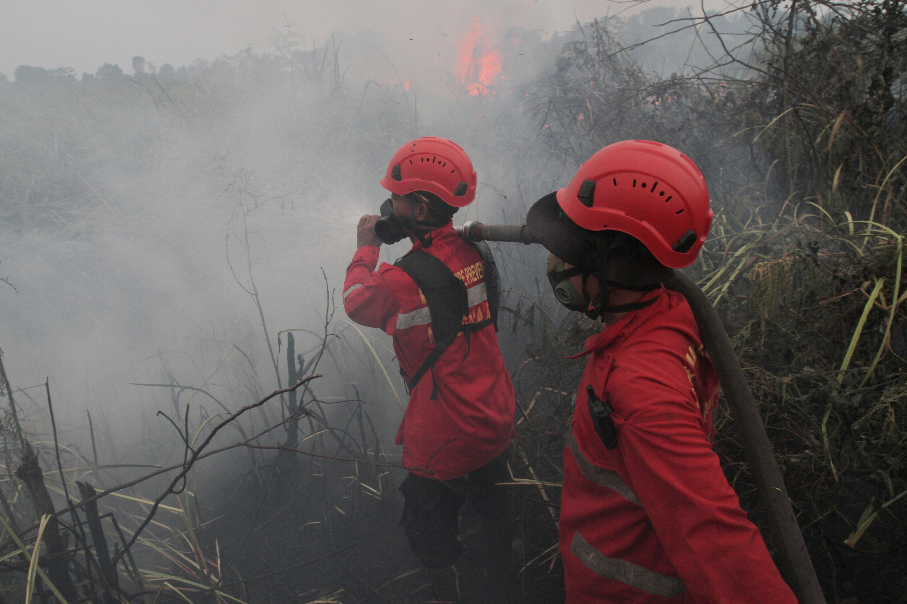 Indonesia battles haze as wildfires rage across South Sumatra forests