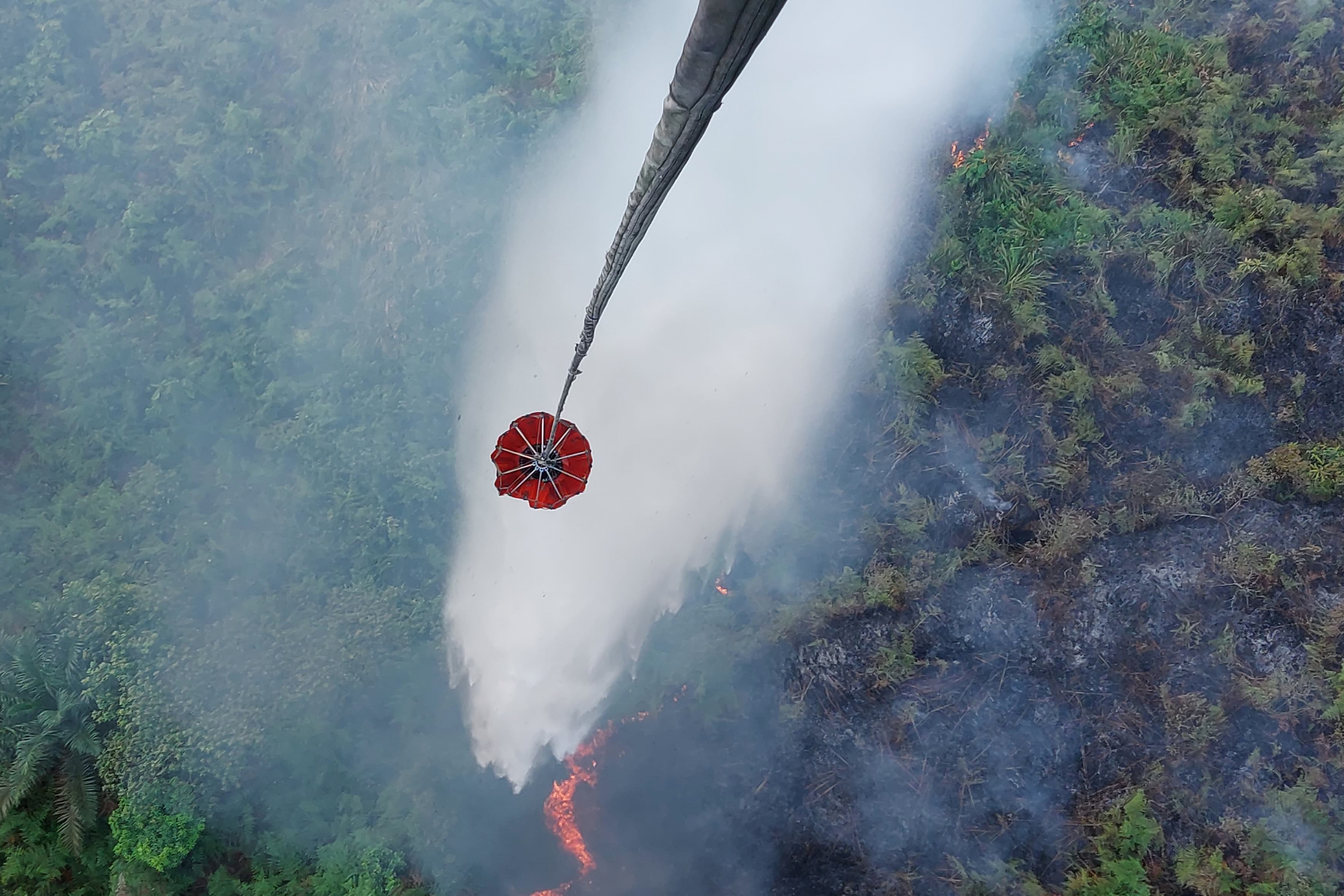 Indonesia battles haze as wildfires rage across South Sumatra forests