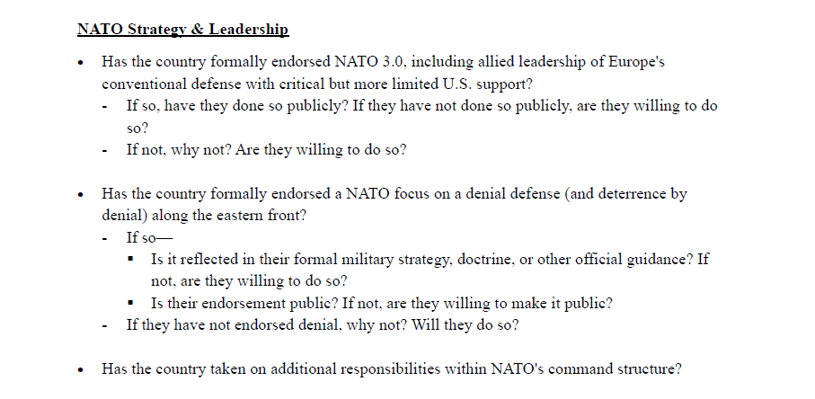 A screenshot of a section of 'Questions for NATO Allies & Other Key Stakeholders' obtained by Al Jazeera. [Al Jazeera]