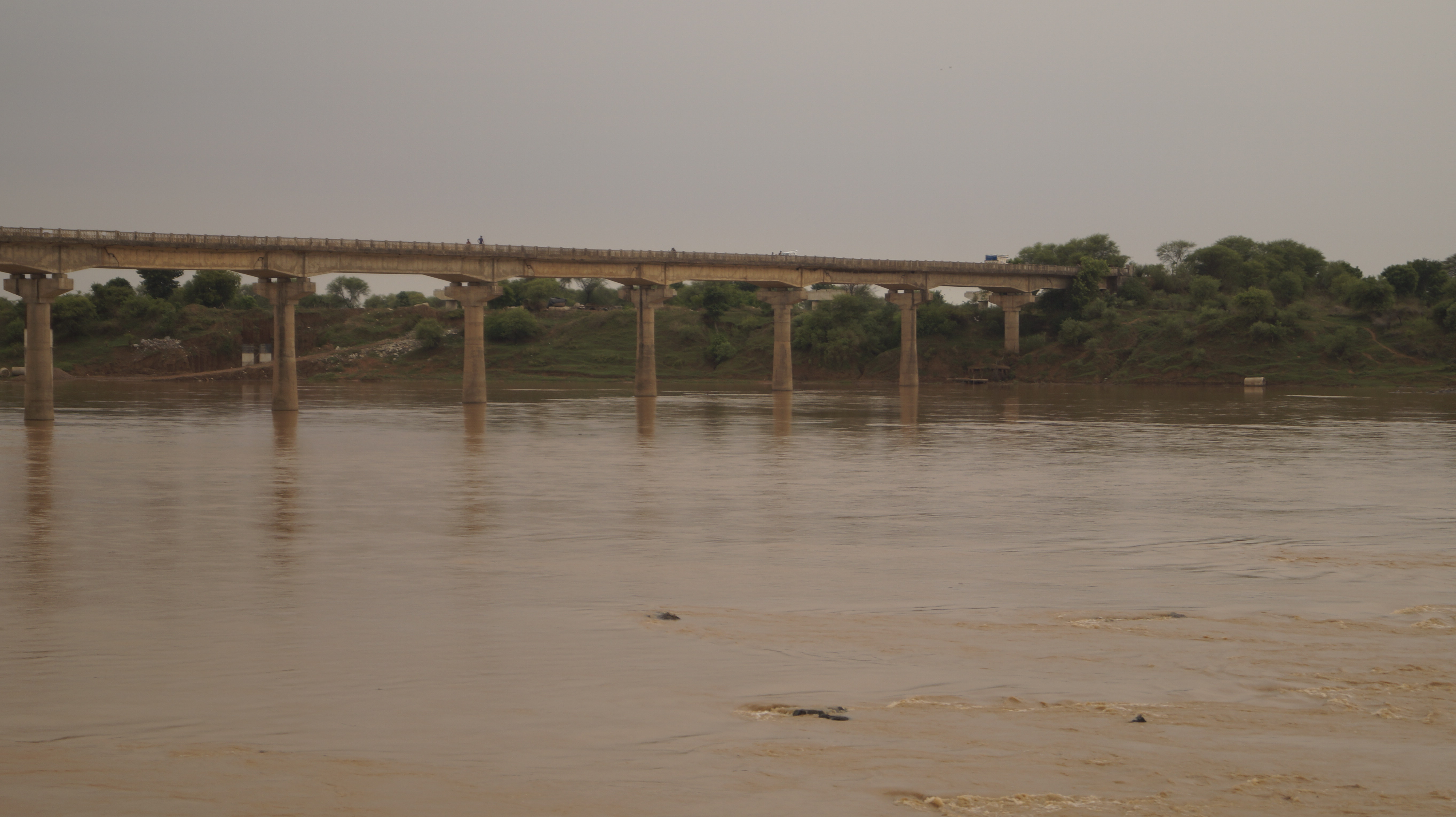 The Ken River in Panna Tiger Reserve, where the Daudhan Dam is being built