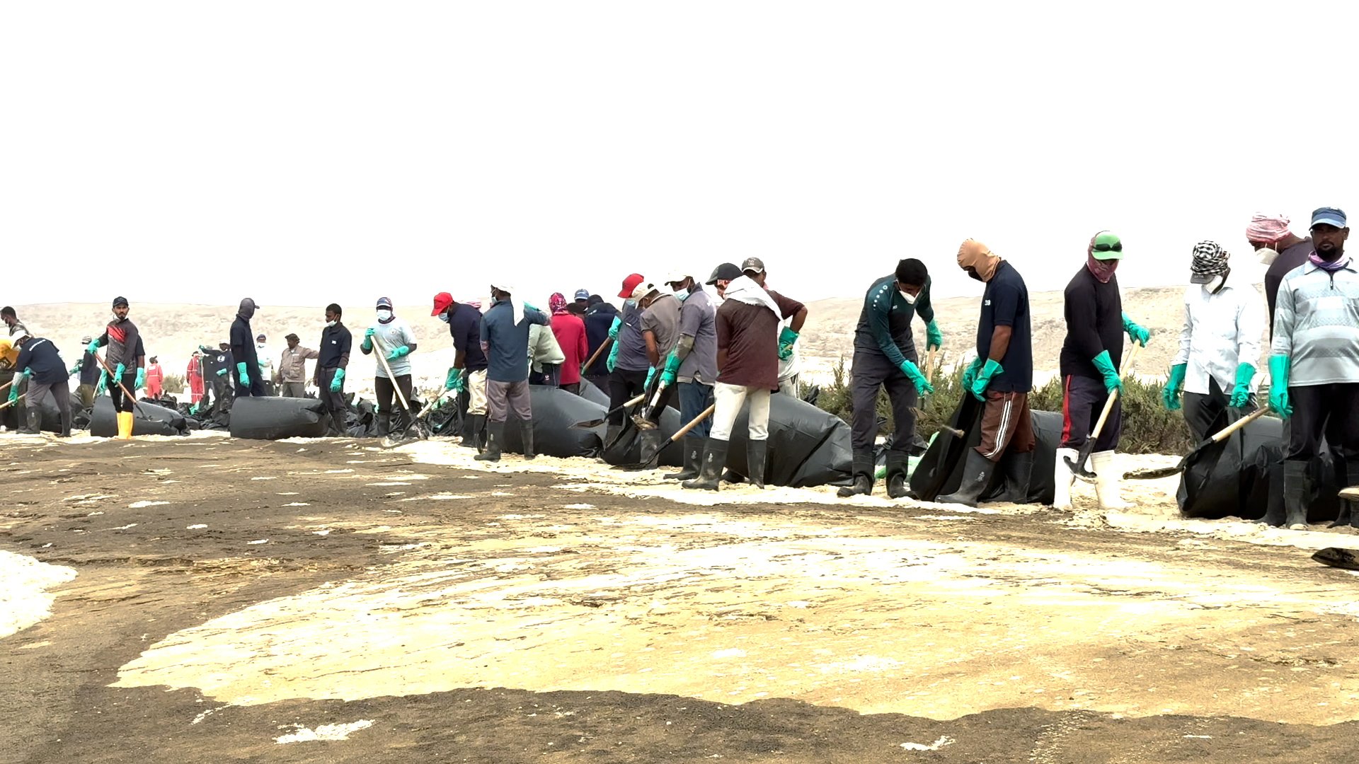 The Omani Environment Authority stated that it is continuing its monitoring, follow-up, and response efforts regarding the oil pollution resulting from the grounded vessel near Al Qibliya Island in the Dhofar Governorate. [Screenshot / Omani Environment Authority]