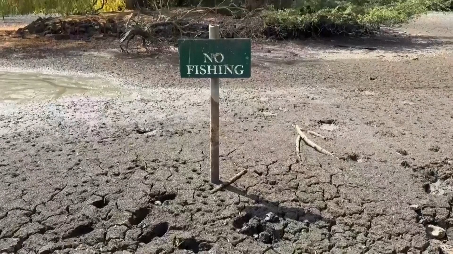 Europe drought