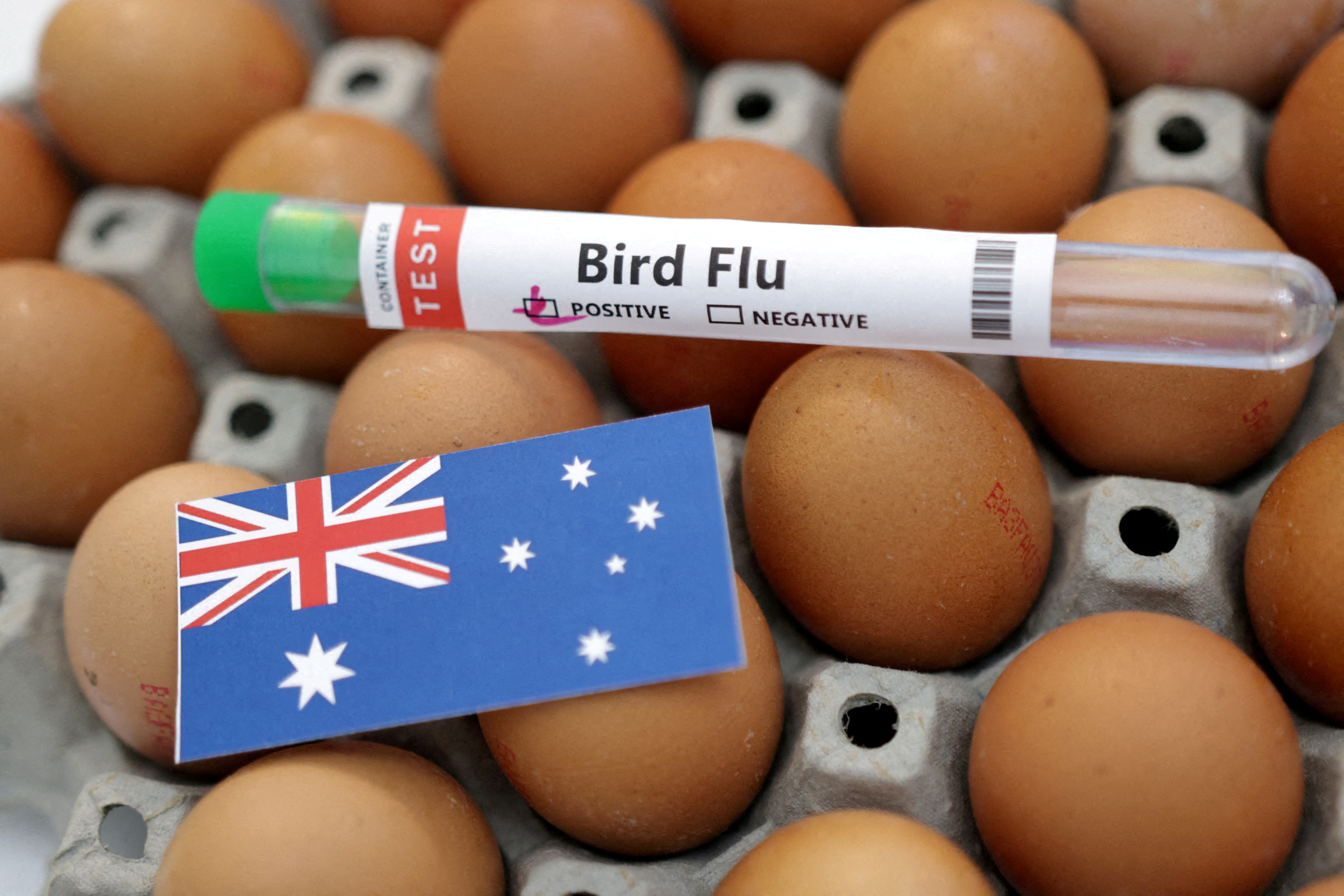 A test tube labelled "Bird Flu", eggs and a piece of paper in the colours of the Australian national flag