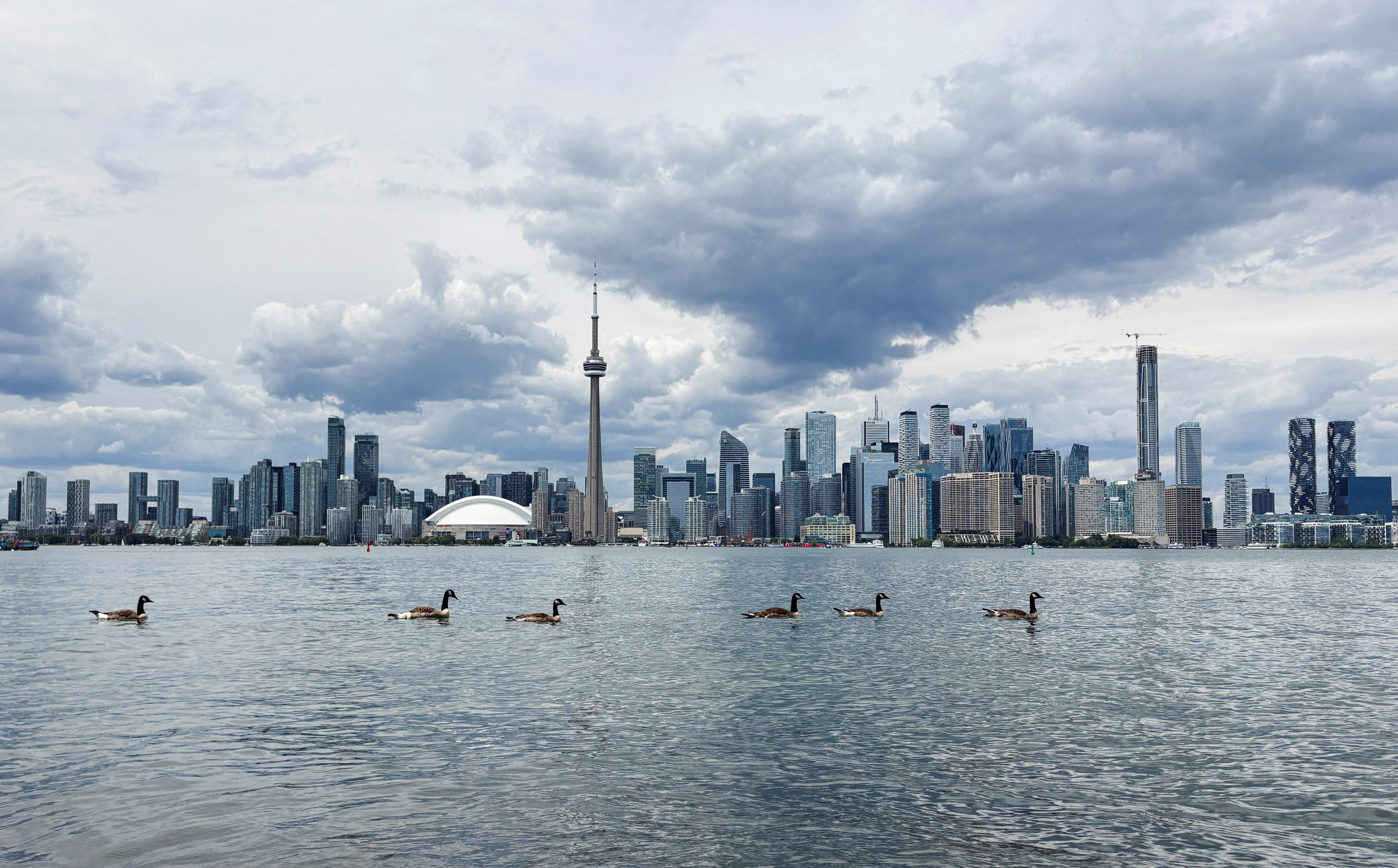 FILE PHOTO: Canada geese swim in Lake Ontario near Centre Island in Toronto, Canada June 24, 2026. Picture taken with a mobile phone. REUTERS/Bhargav Acharya/File Photo