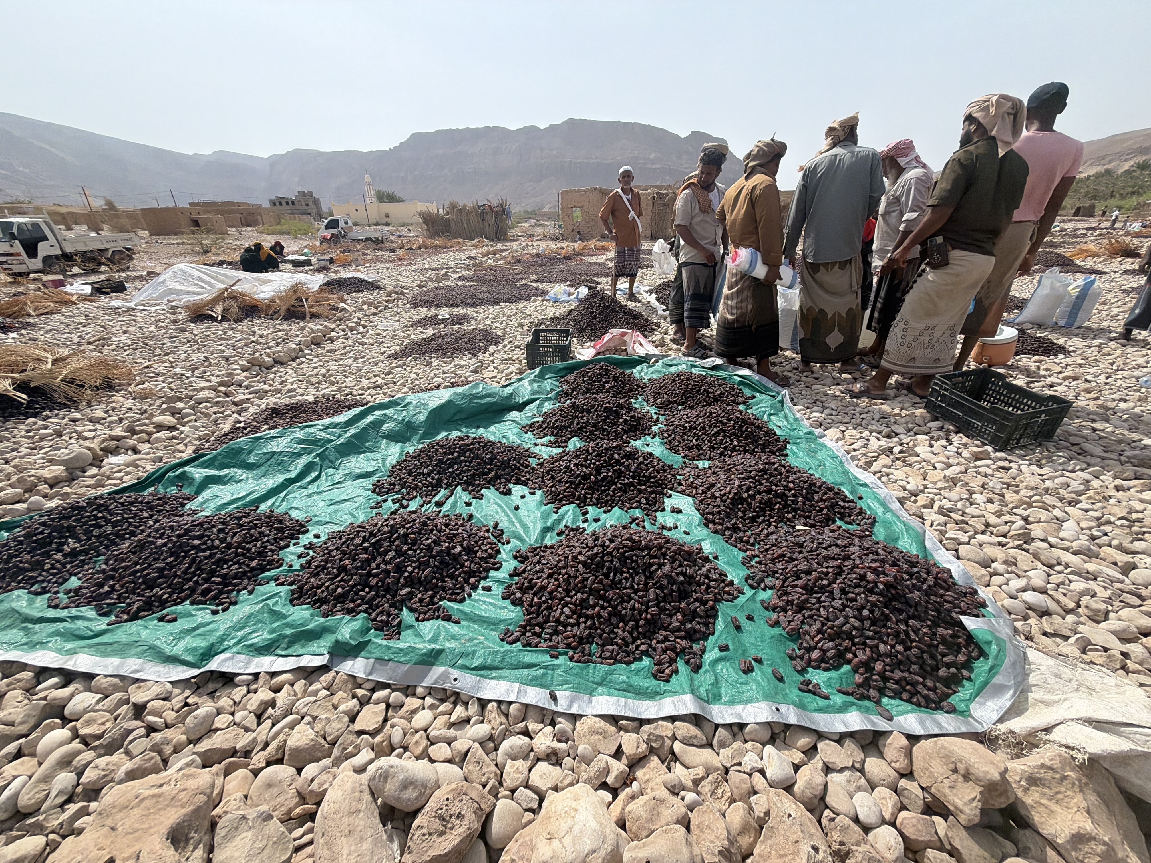 Sellers and buyers negotiate prices as they stand next to piles of dates at Hajr’s open-air market