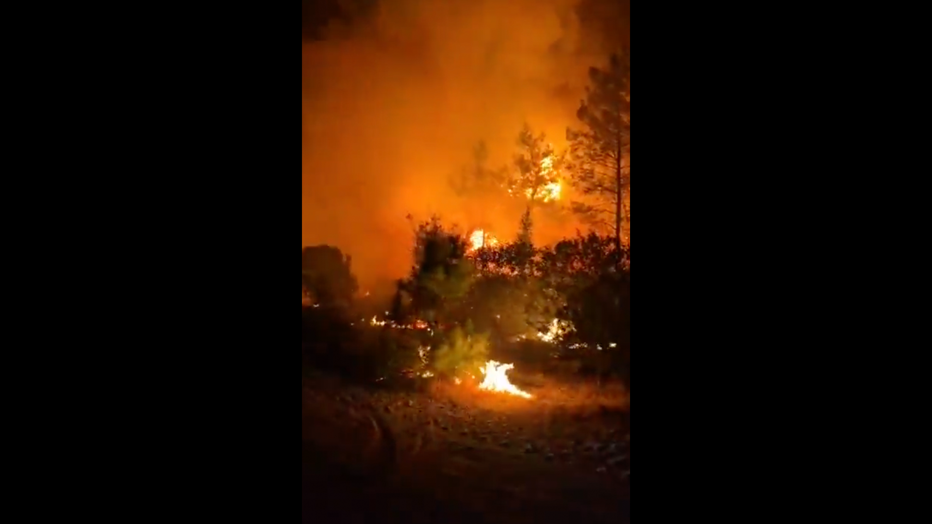 Forest fires force evacuations near resorts in Antalya