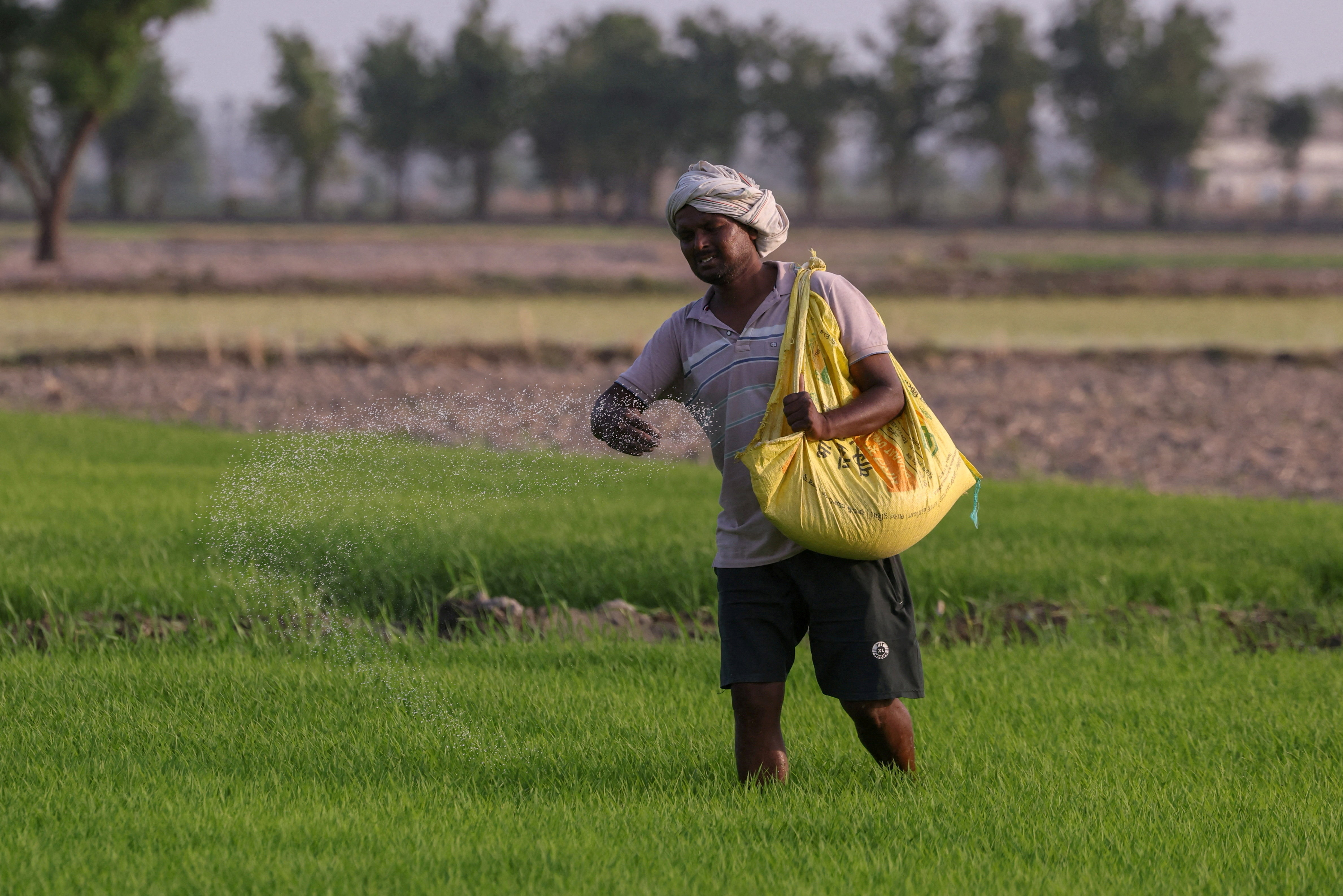 farmer