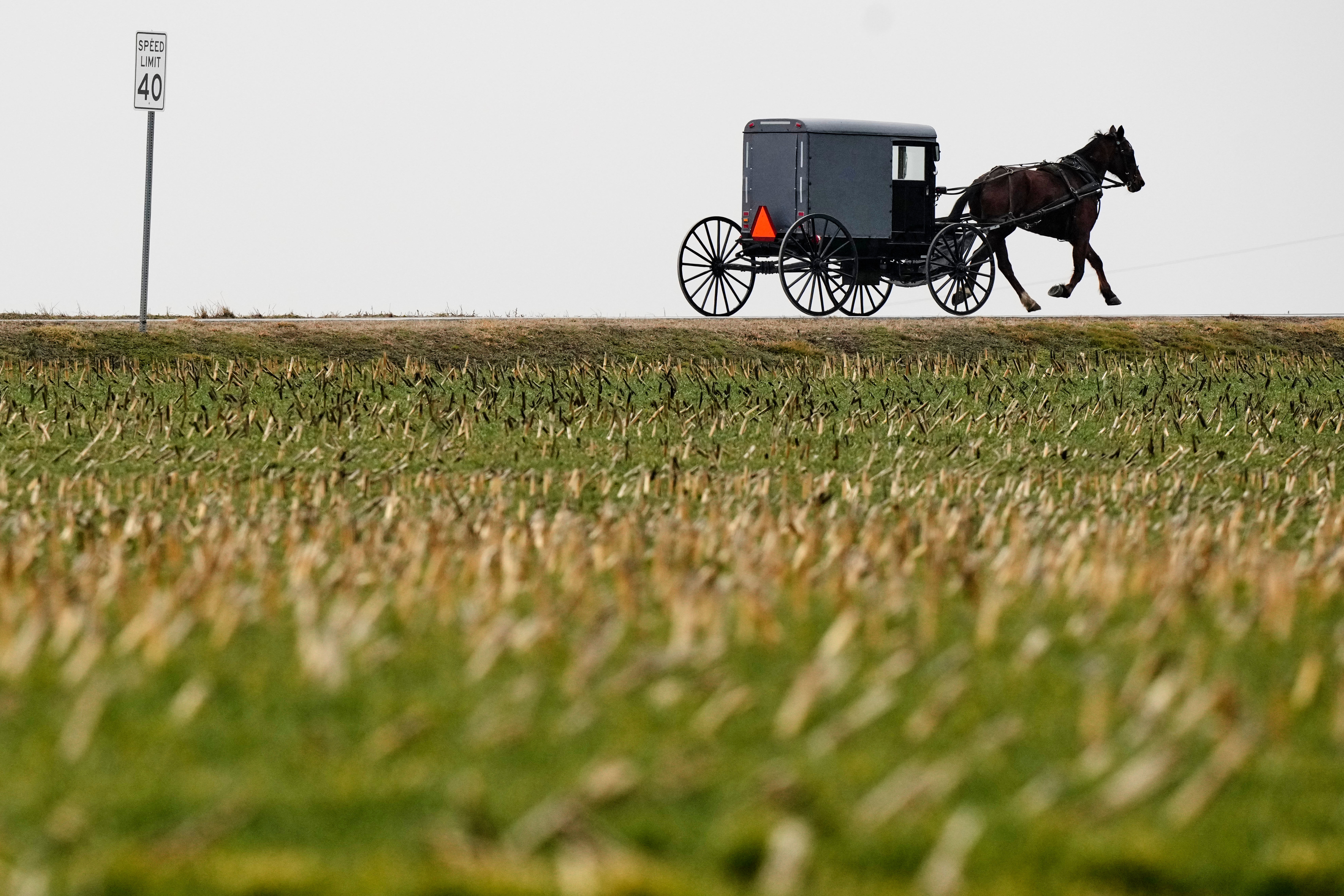 An Amish buggy is driven through farm country, March 8, 2026, in Lancaster County, Pa. (AP Photo/Robert F. Bukaty)