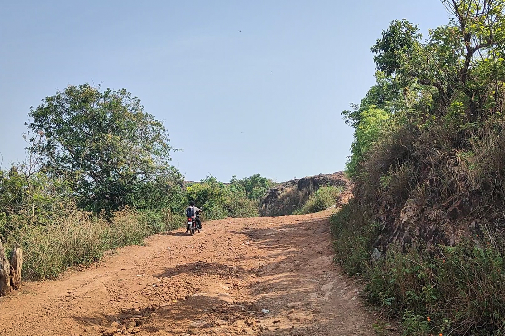 The road leading to the peak of Balda hill due to be converted into an approach road for the mine