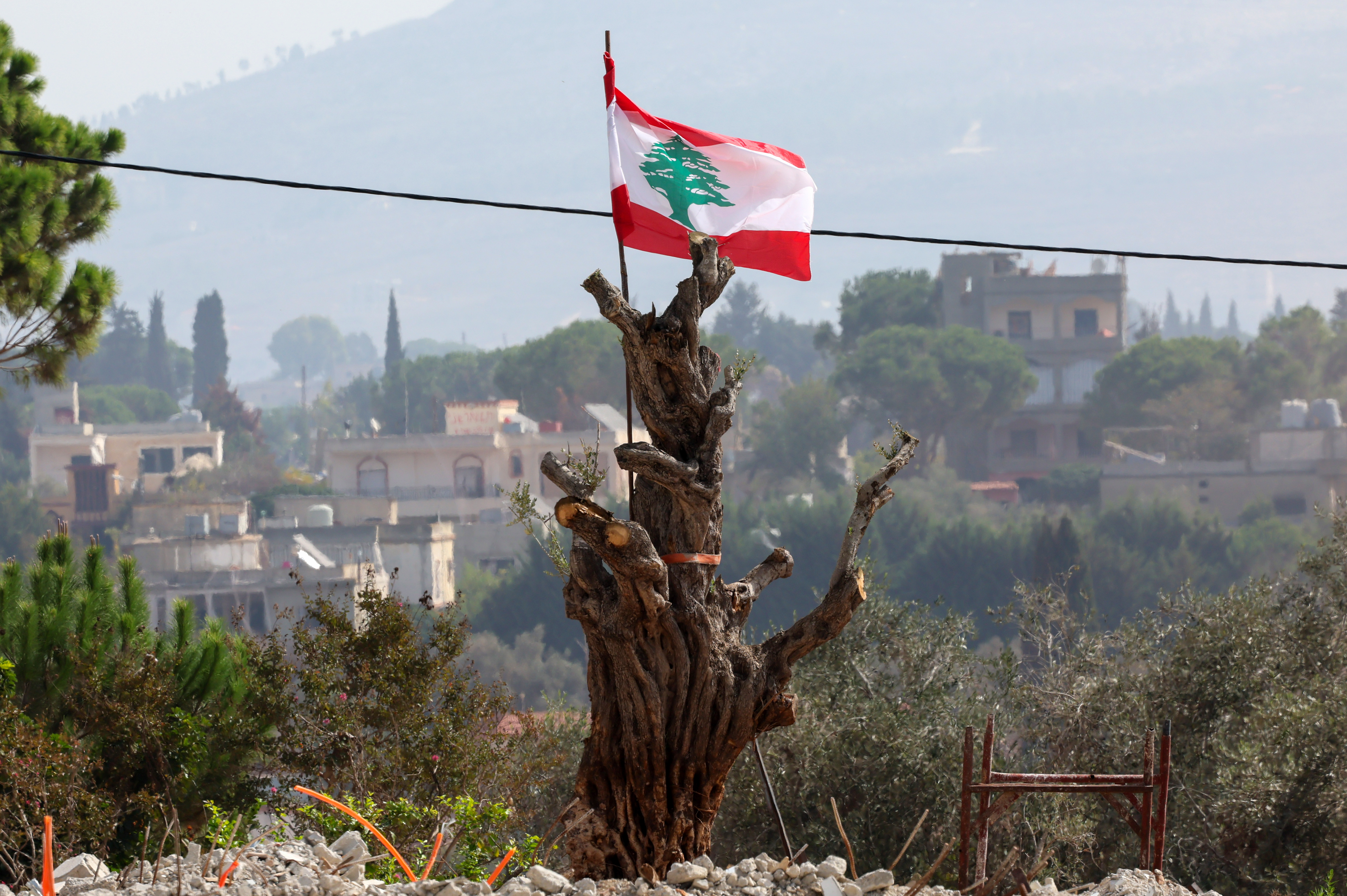 epa13294033 A Lebanese flag placed on a damaged olive tree in the southern Lebanese village of Zawtar al-Gharbiyah, near the neighboring village of Zawtar al-Sharqieh, where Israeli forces are stationed, in southern Lebanon, 10 October 2026. Olive farming in southern Lebanon provides a vital source of income for rural families, particularly in border villages. War and Israeli military activity have disrupted olive harvesting through shelling, fires, and displacement, forcing many farmers to abandon their land and increasing costs for already vulnerable communities. EPA/WAEL HAMZEH