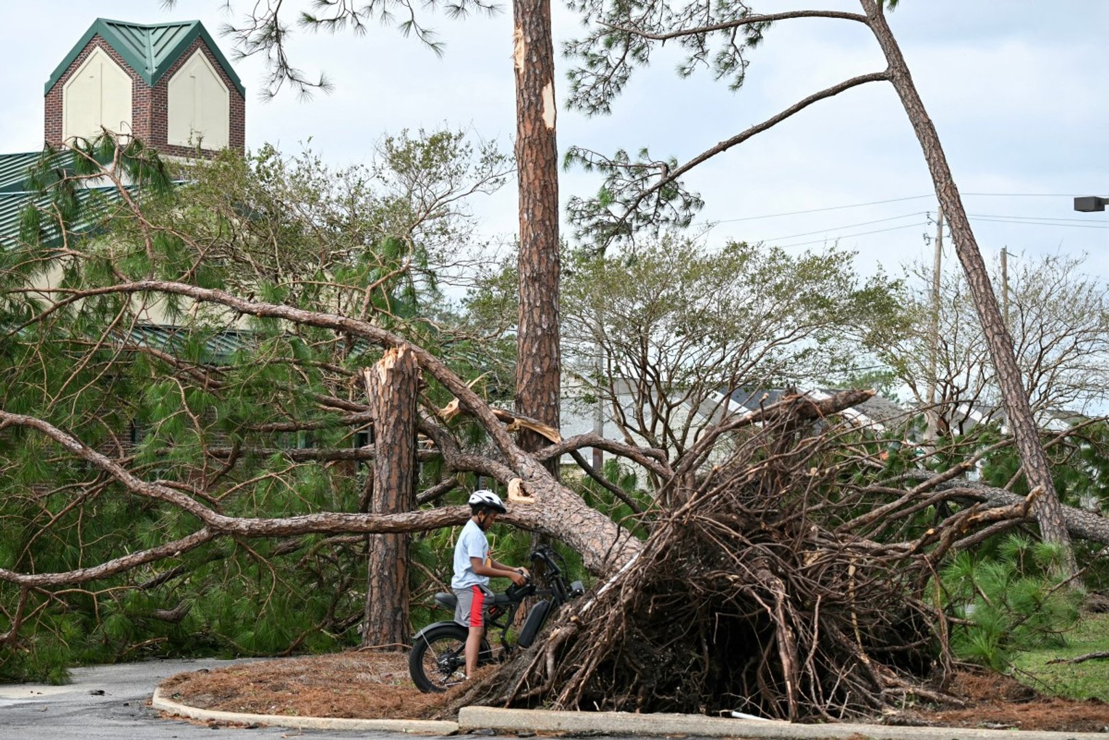An uprooted tree is seen in Gulf Breeze, Florida, on October 10, 2026. [Photo by RONALDO SCHEMIDT / AFP]
