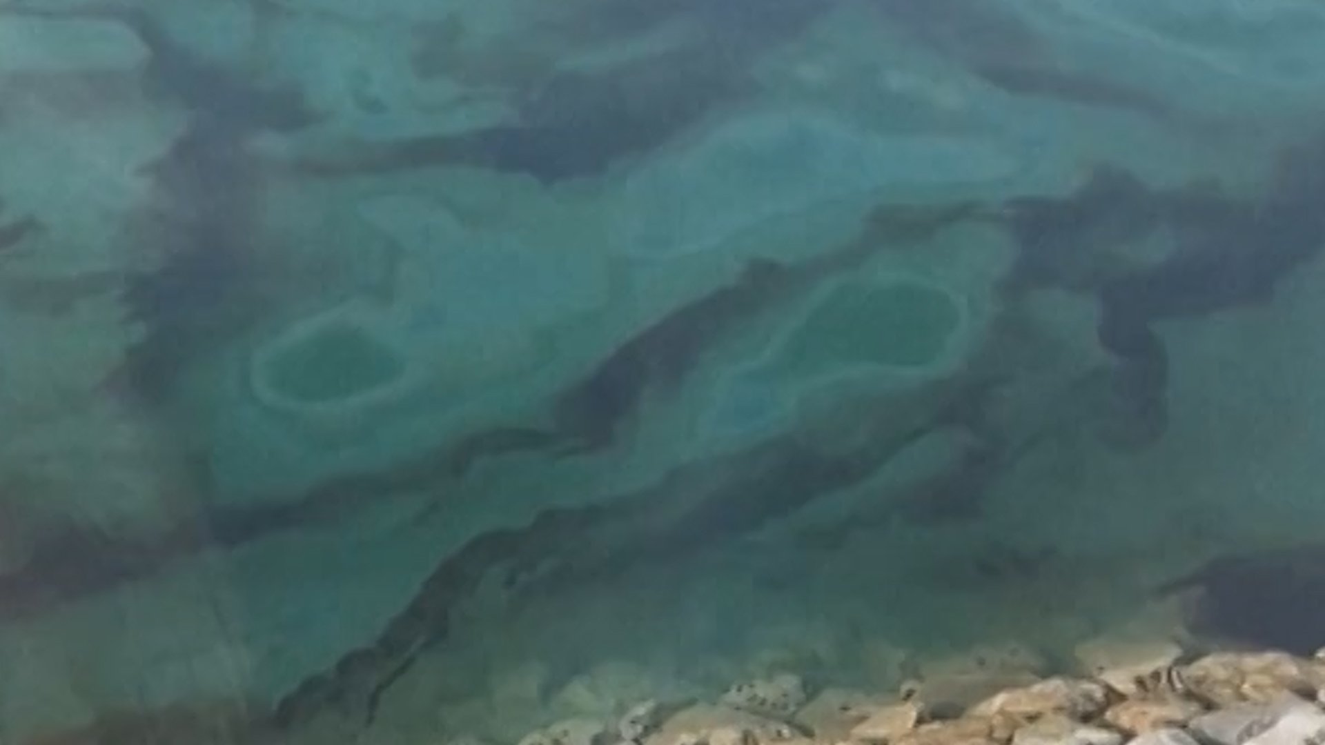 Oil spill in ocean